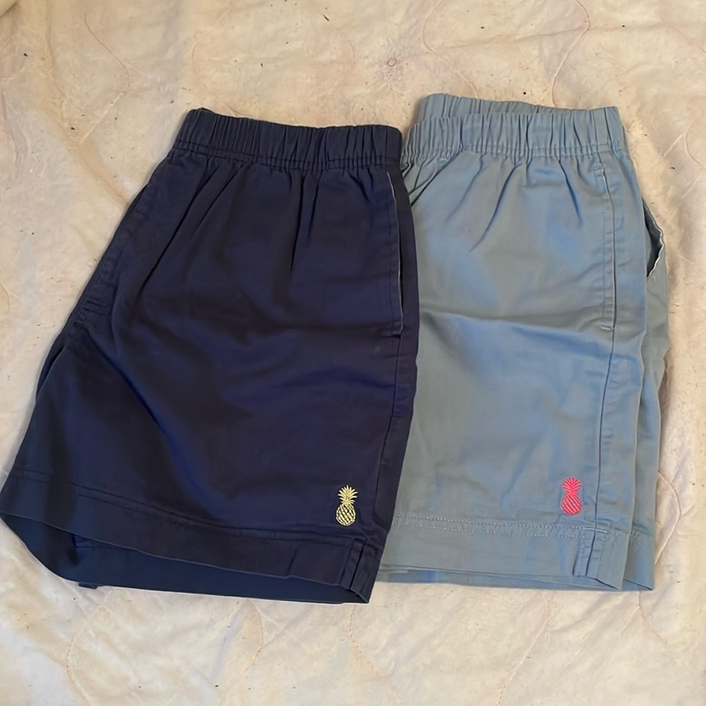 Chubbies everyday shorts